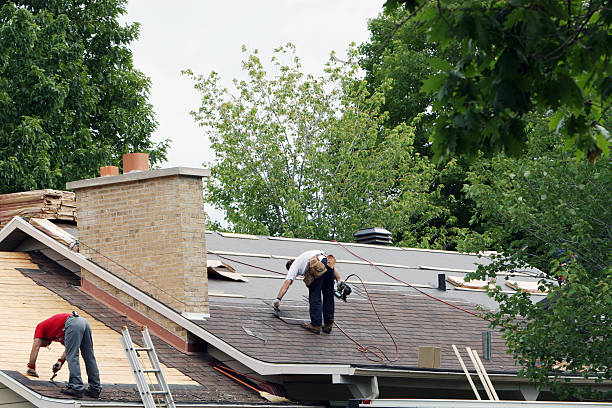 Roof Gutter Cleaning in Jesup, IA