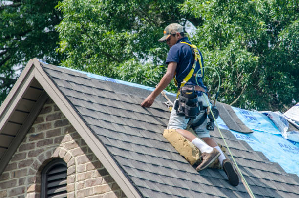 Best Best Roofing Contractors  in Jesup, IA